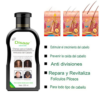 Recupera el Volumen de Tu Cabello – Champú Herbal Anticaída + Suero